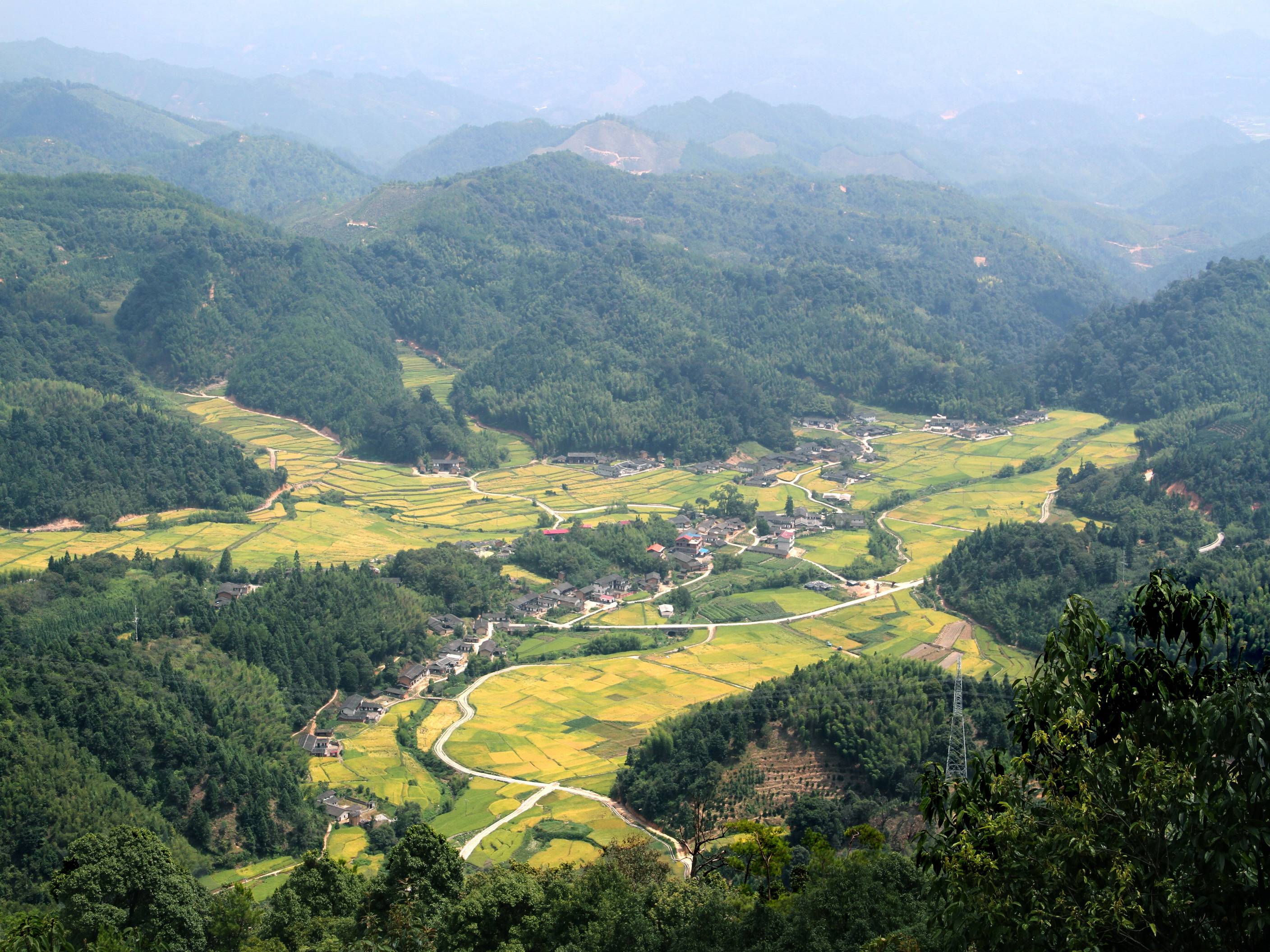 福永654坪山图片