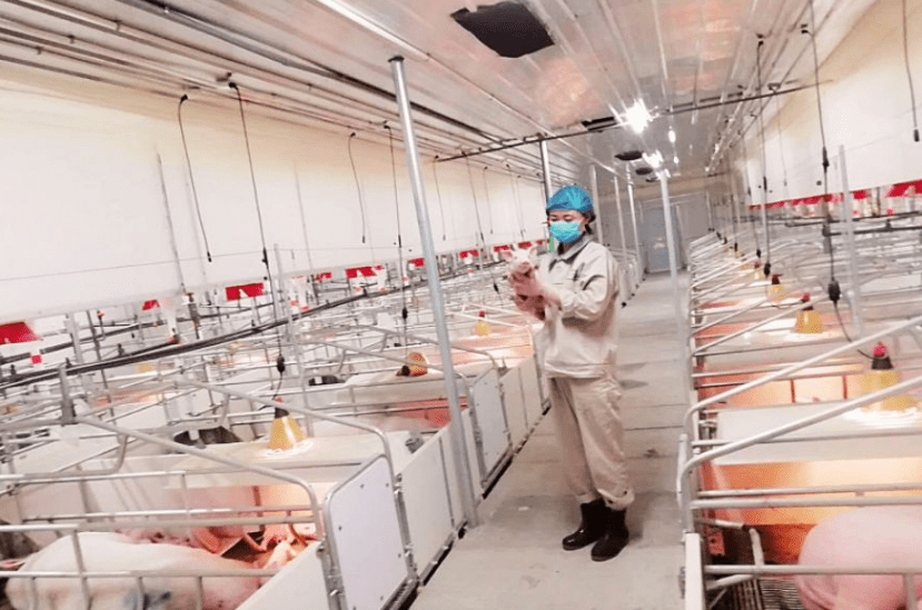 之前为了养猪放弃保送,现在为了养猪放弃公职,我看秦英林真是没救了