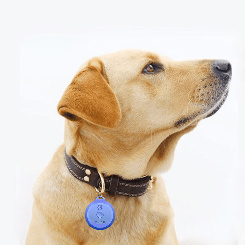 萌宠有智能电子犬牌才算一只有"身份证"的汪星人哦~_登记_免疫_警方