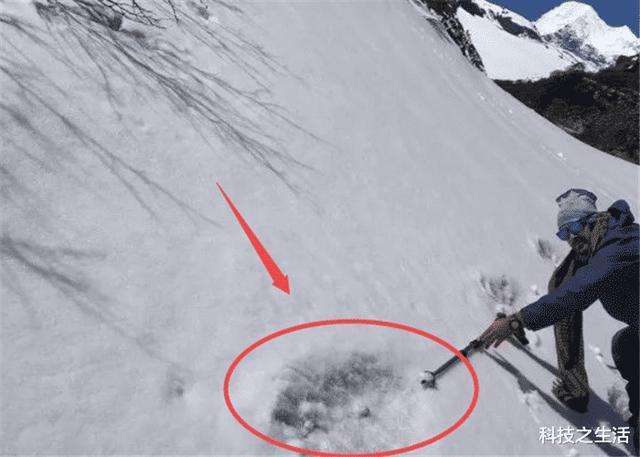 山"雪人"竟真实存在,专家研究分析,答案让人背后一凉_脚印_大叔_孩子