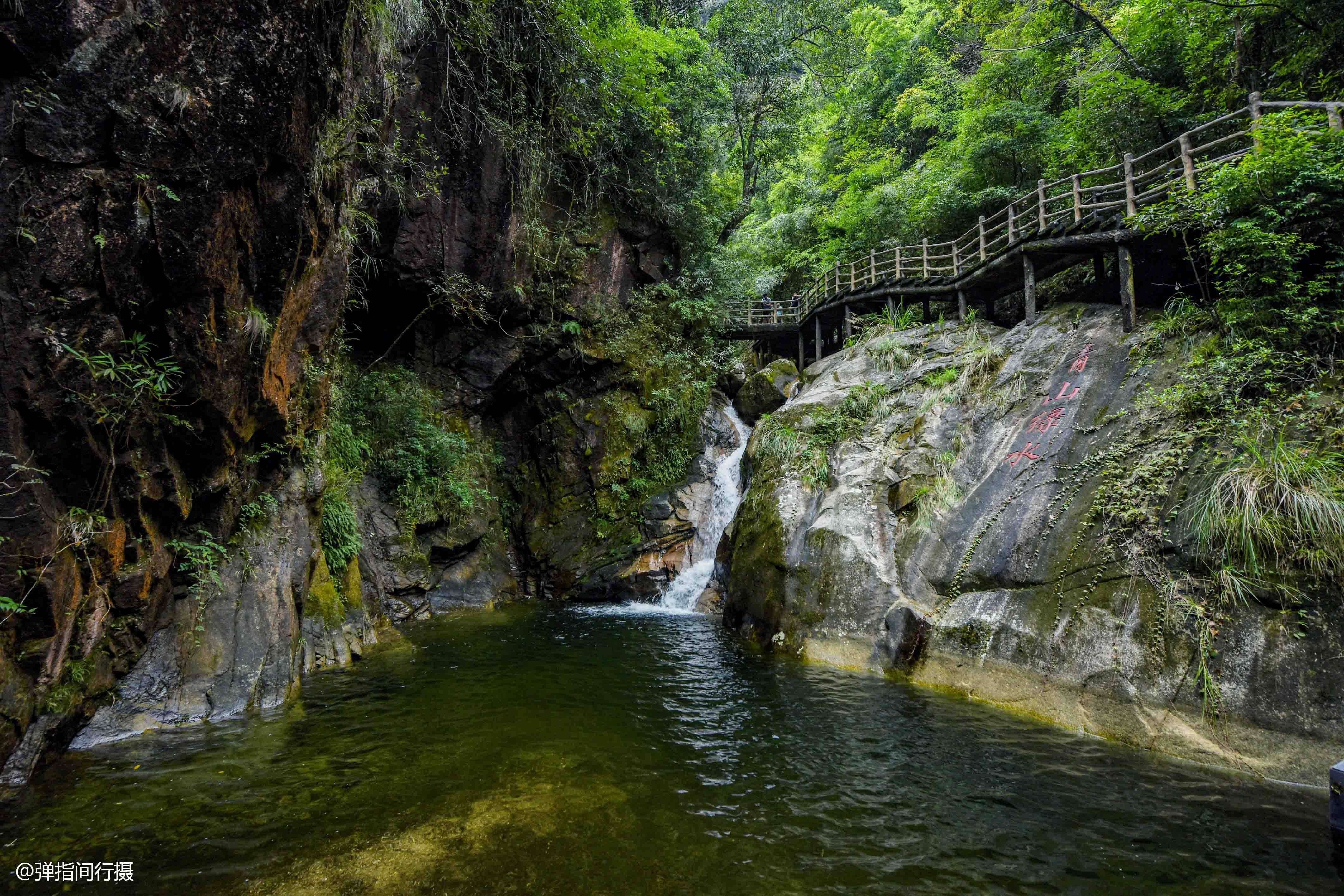 高林密|湖南有座“绿色宝库”，横跨湘粤，山高林密，出产特有的剧毒蛇