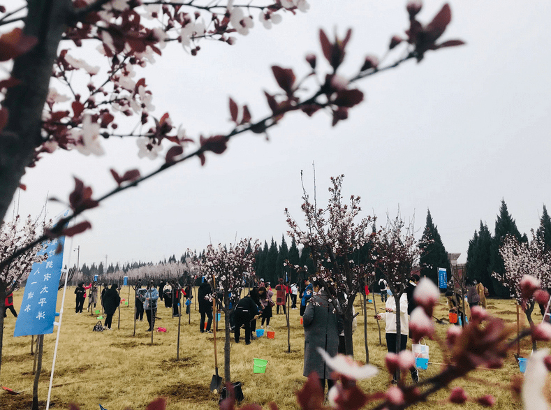 服务|喜讯：宝鸡市2021年度目标责任考核法门文化景区被评为优秀开发区（园区）