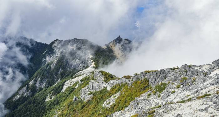万科郁亮的讲话很吓人,却佐证了家电转型的前瞻性!-家电圈官网