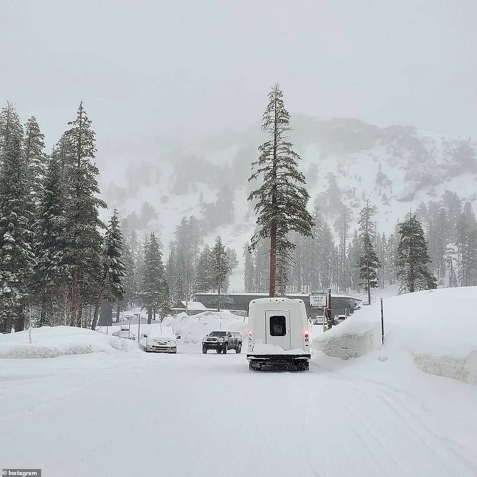 拜登|残酷的雪景，惨兮兮的美感