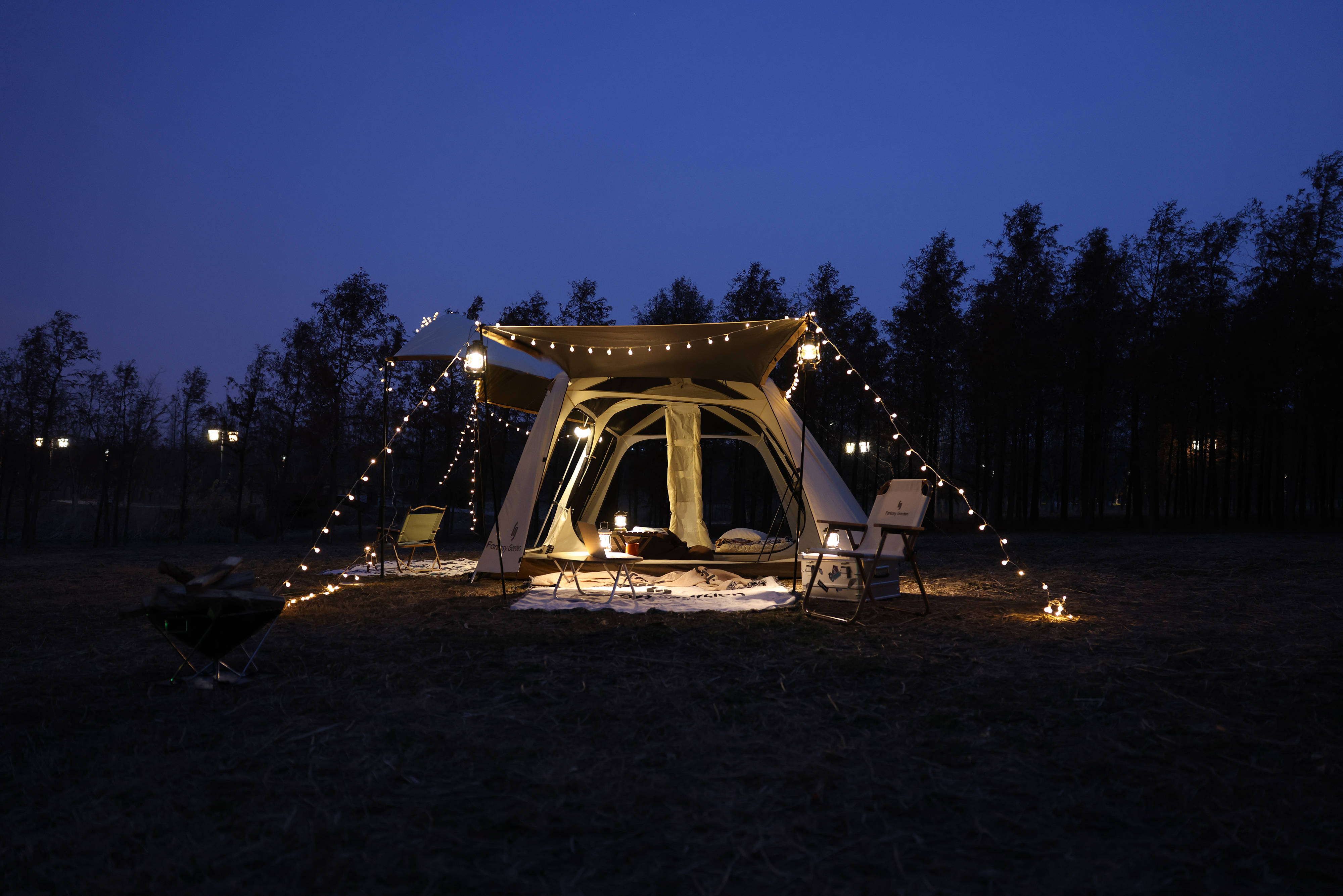 春风为信寄来一封杉树林间露营记