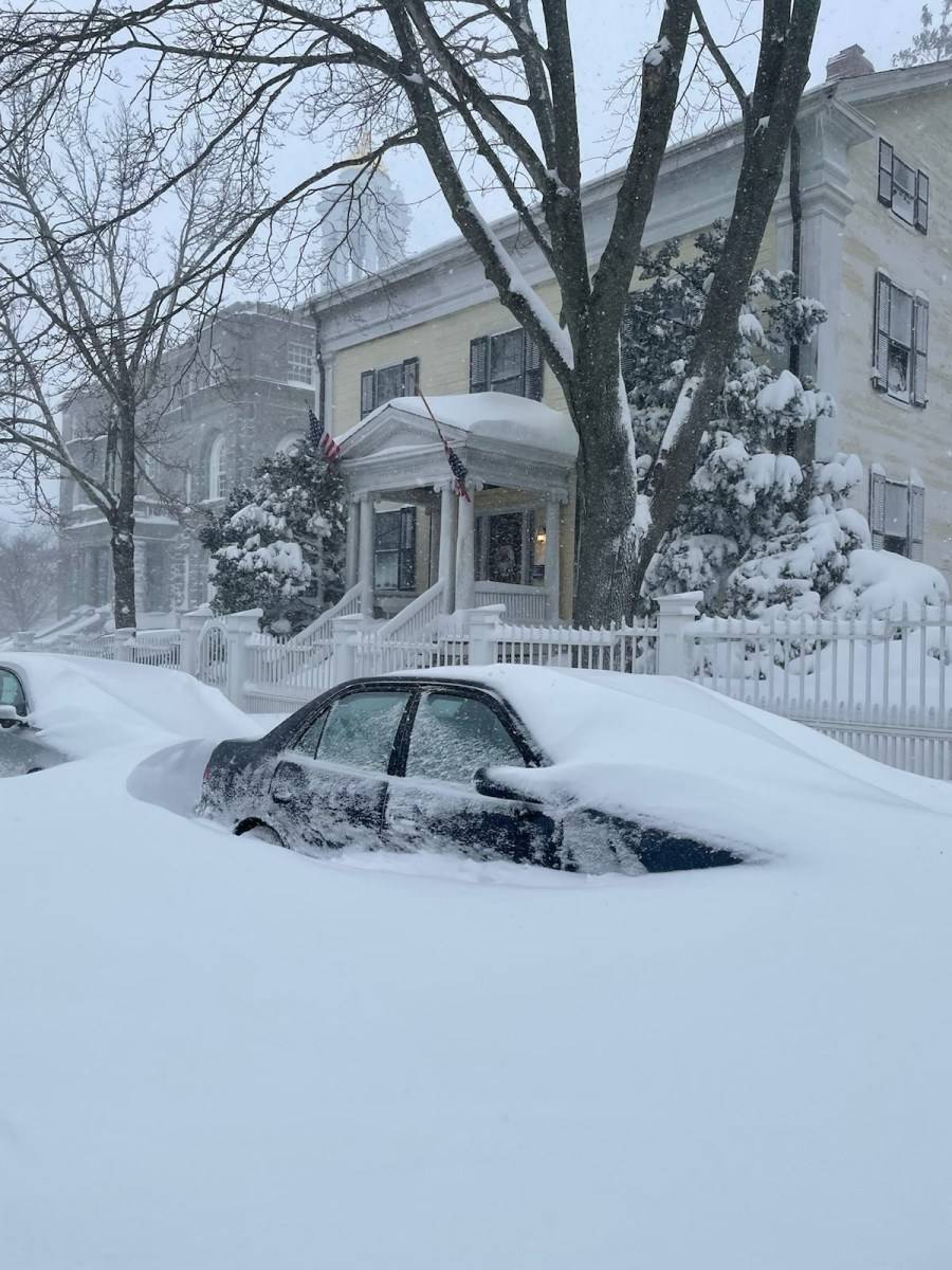 拜登|残酷的雪景，惨兮兮的美感