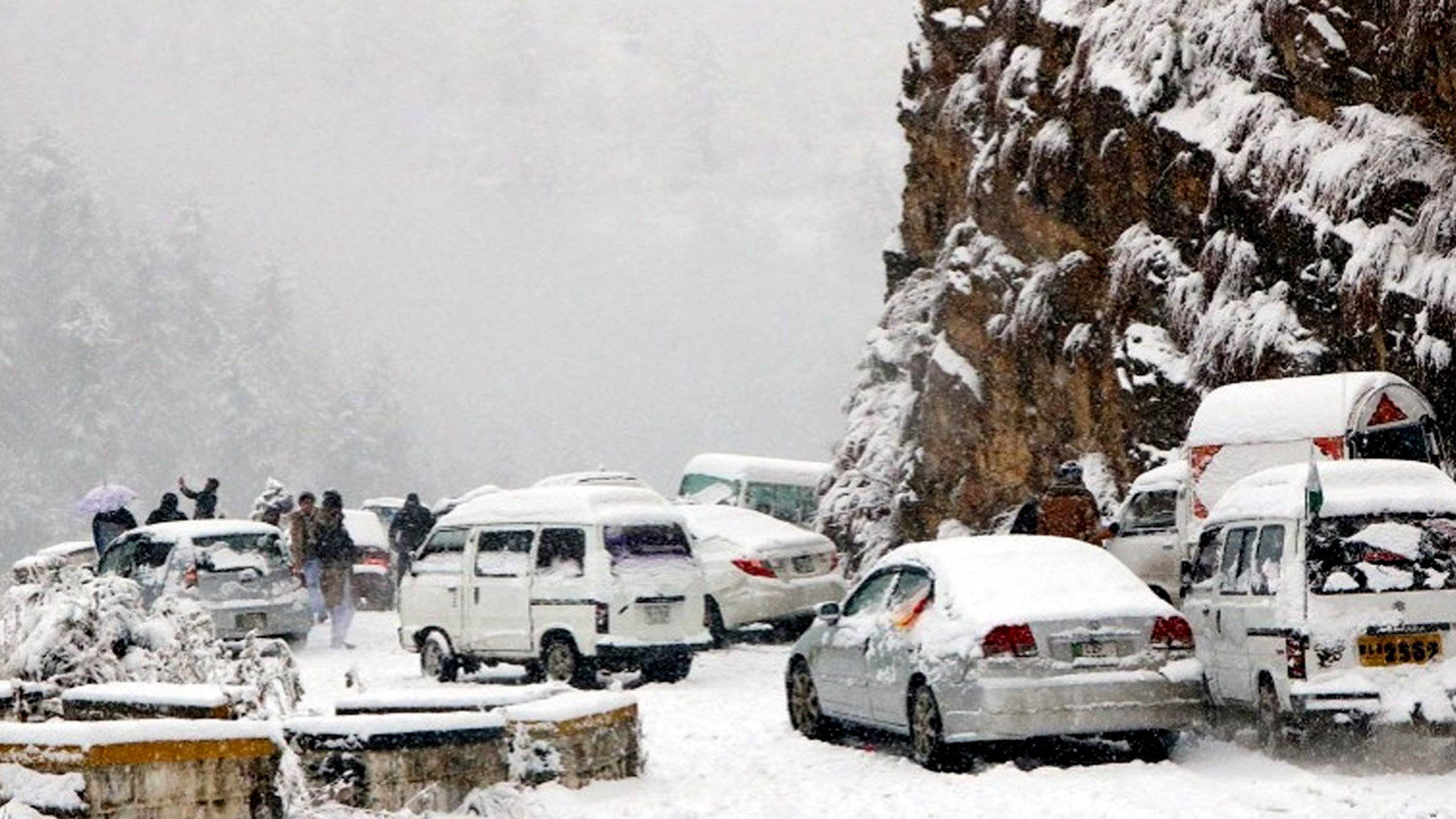 拜登|残酷的雪景，惨兮兮的美感