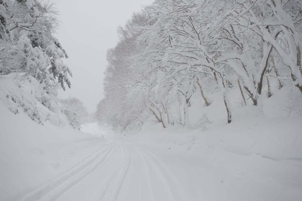 拜登|残酷的雪景，惨兮兮的美感