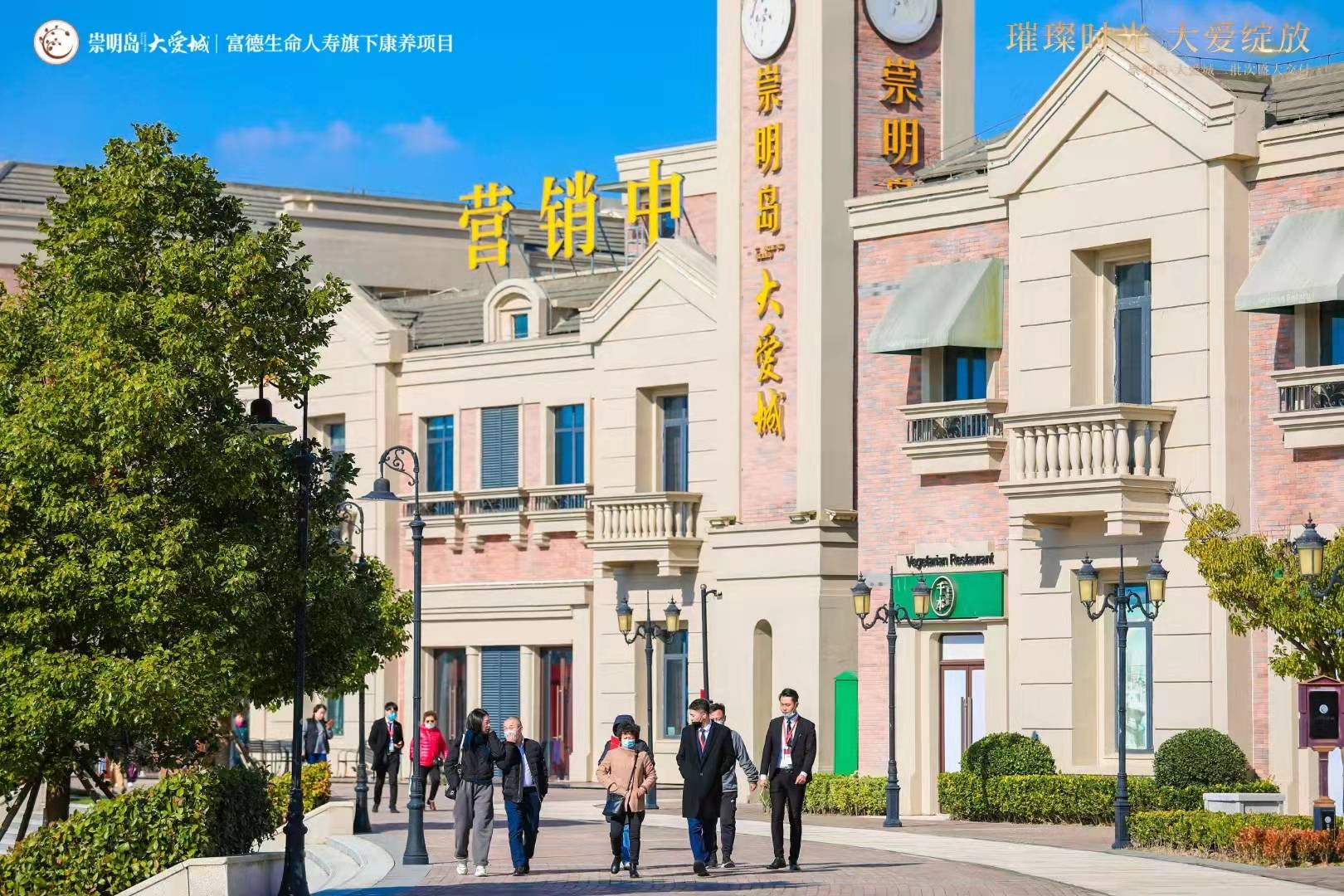 崇明岛大爱城-搜狐大视野-搜狐新闻