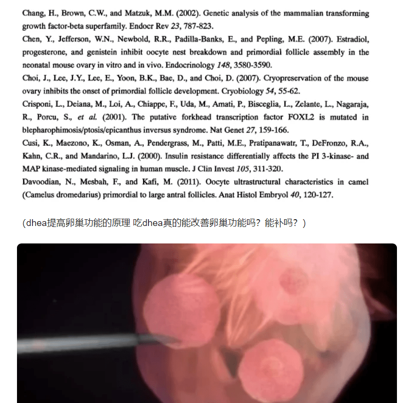 喝豆浆能提高卵泡的质量吗 16bfa67bc07e4bbaabfad2169077004c.png