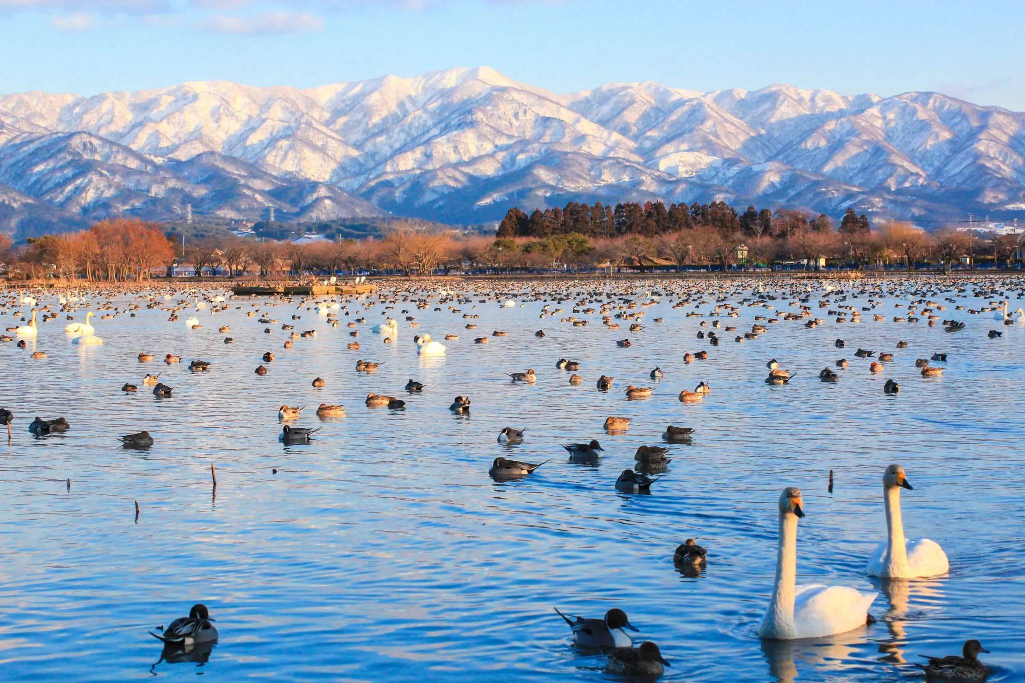 日本新潟冬日旅游没人能抵挡这些绝景的诱惑