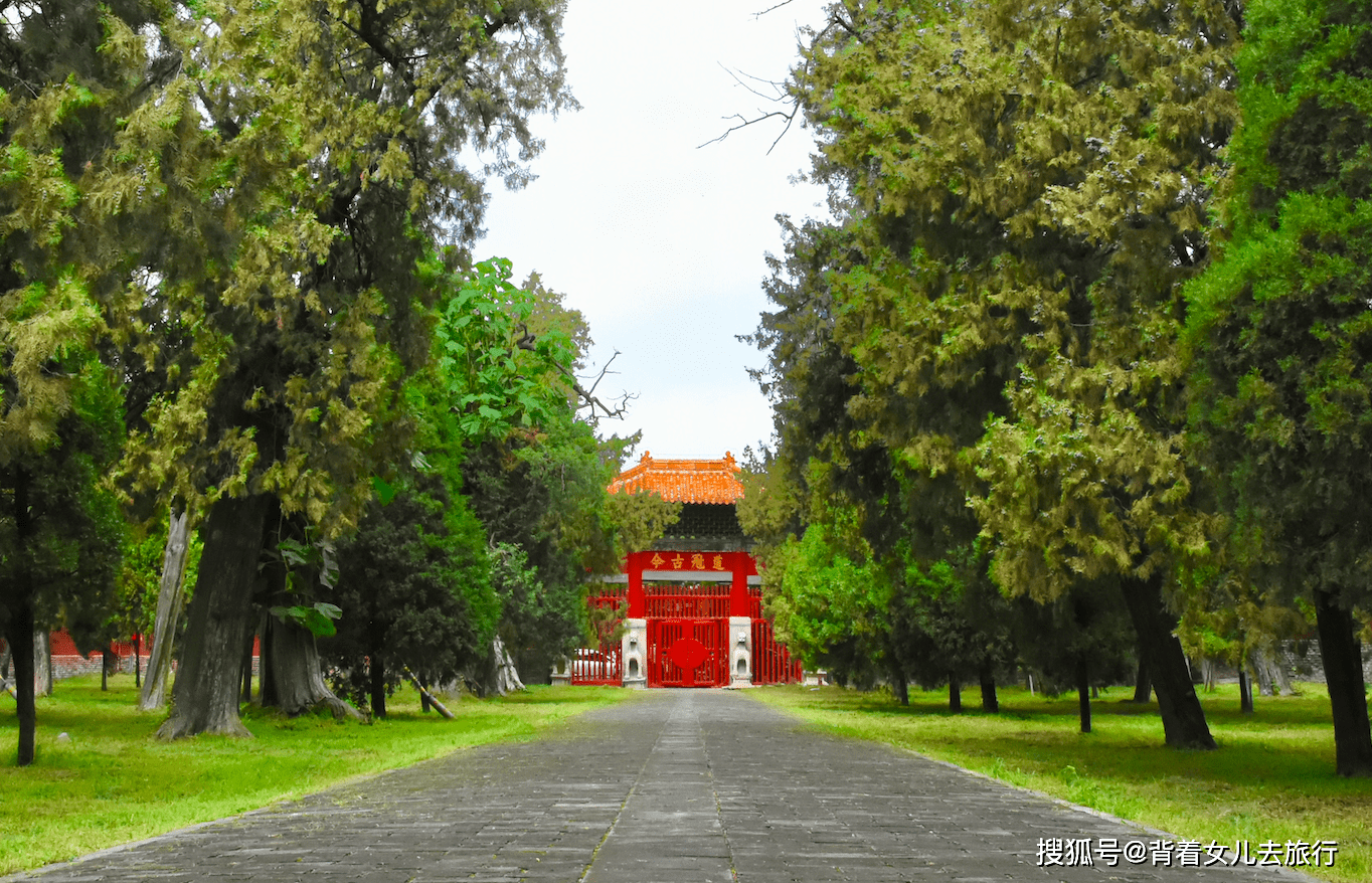 地方|门票140元，一辈子只能看一次，山东孔庙值得去吗？