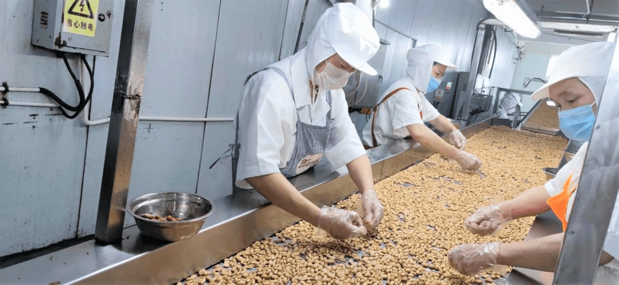 酒鬼花生—高品质原料保障,成就匠心酒鬼花生!_开封_种植_加工