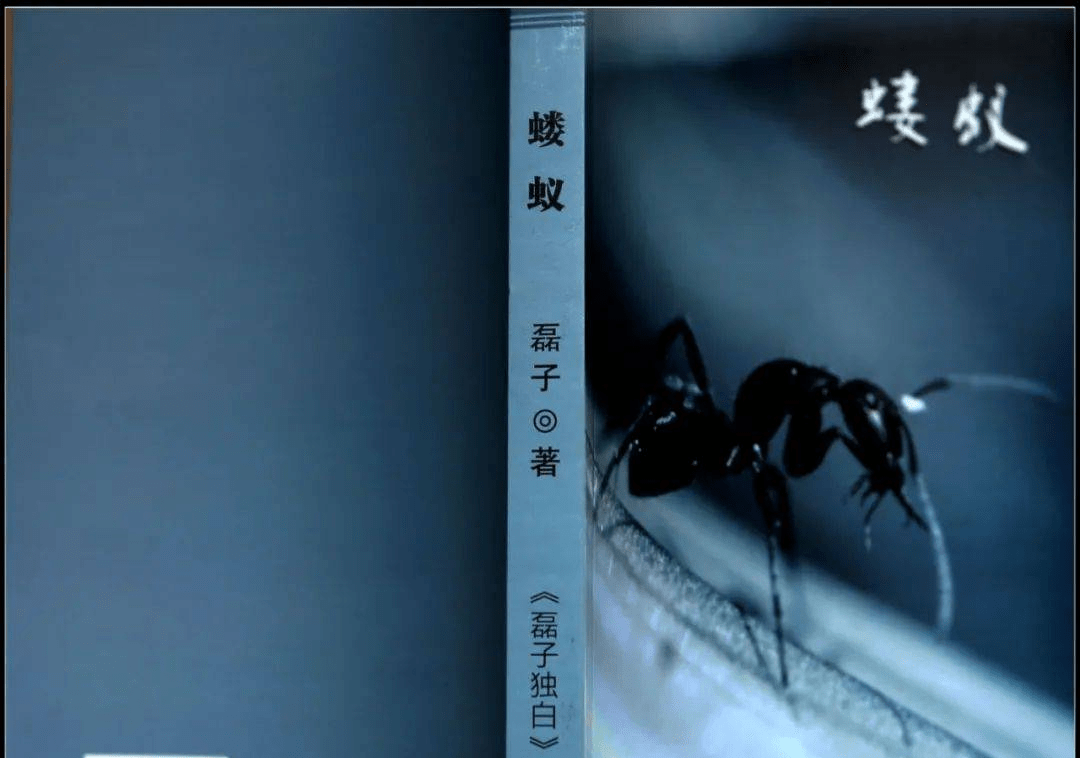 伍涛世道轮回看人生读磊子蝼蚁中原作家