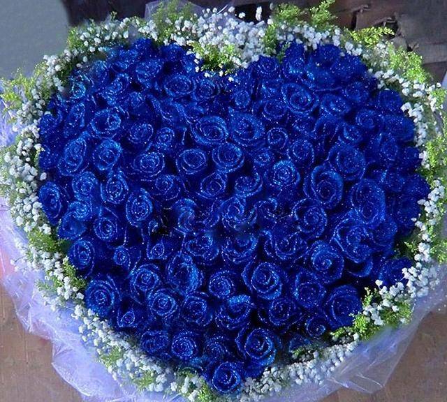 天生 享福命 的4大生肖 婚后很受老公宠爱 大富大贵家庭和睦 属猪 星座 丈夫