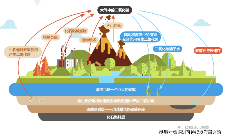 首部零碳秘籍上线争做零碳达人