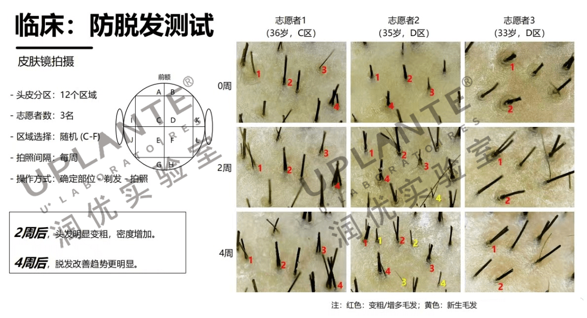 1513b658e19f416f848dd463e6727f55.png