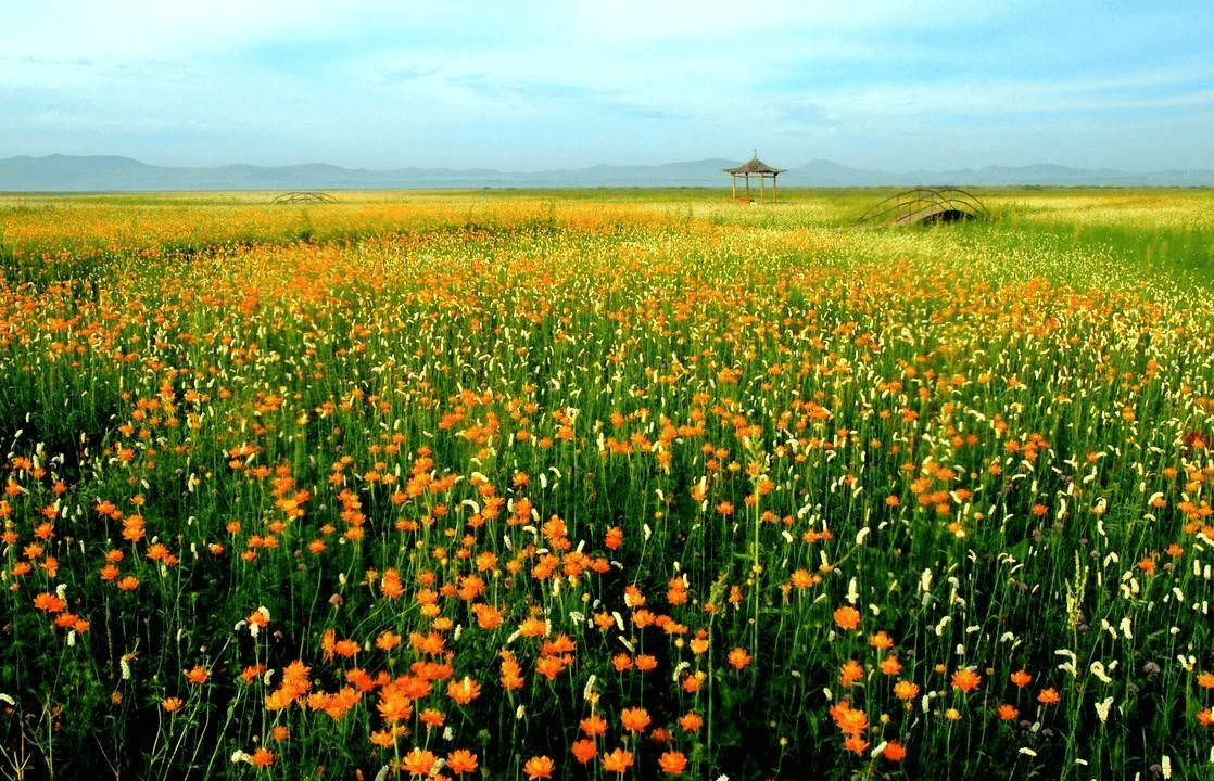 草甸美景图片