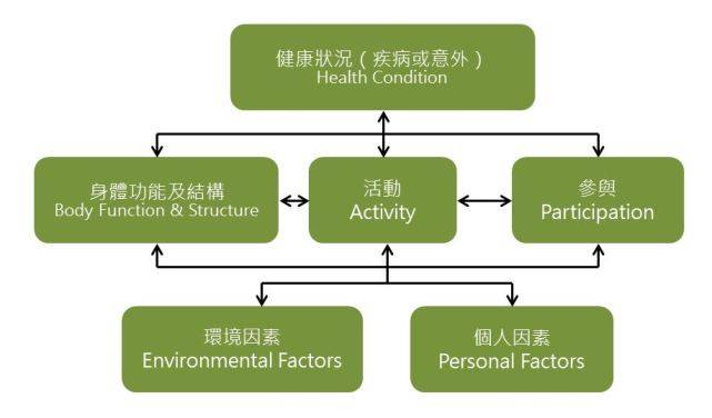 的情况,即身体功能或结构出现伤残,活动能力受到限制或参与遇到障碍