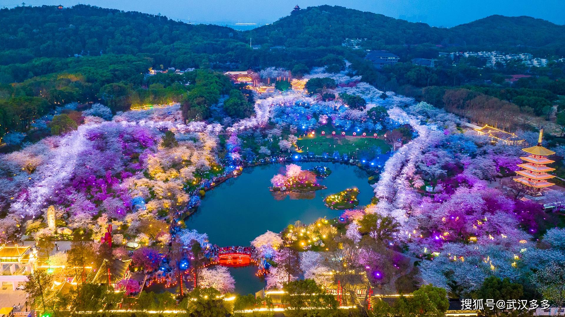 航拍东湖有樱花园昼与夜