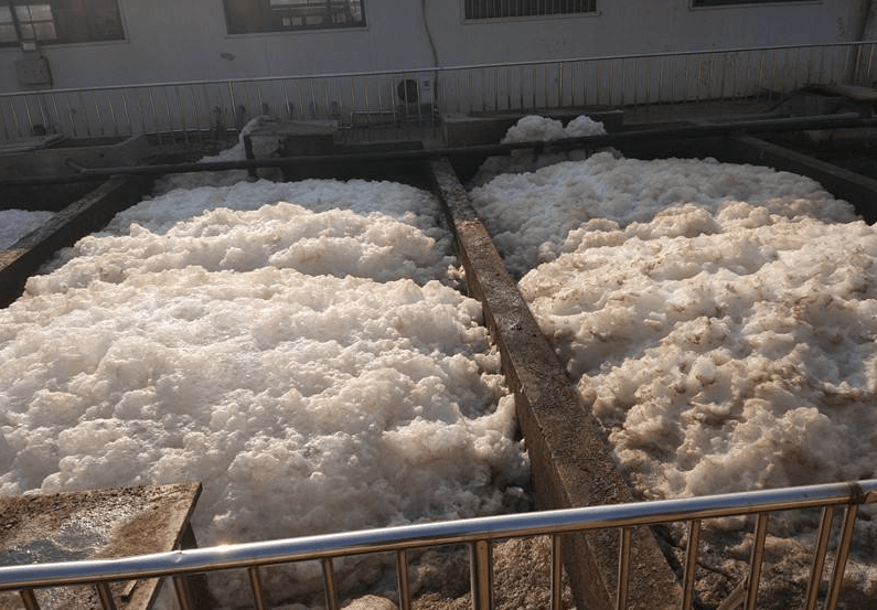 生物循环水处理消泡剂解决方案_泡沫_进行_影响