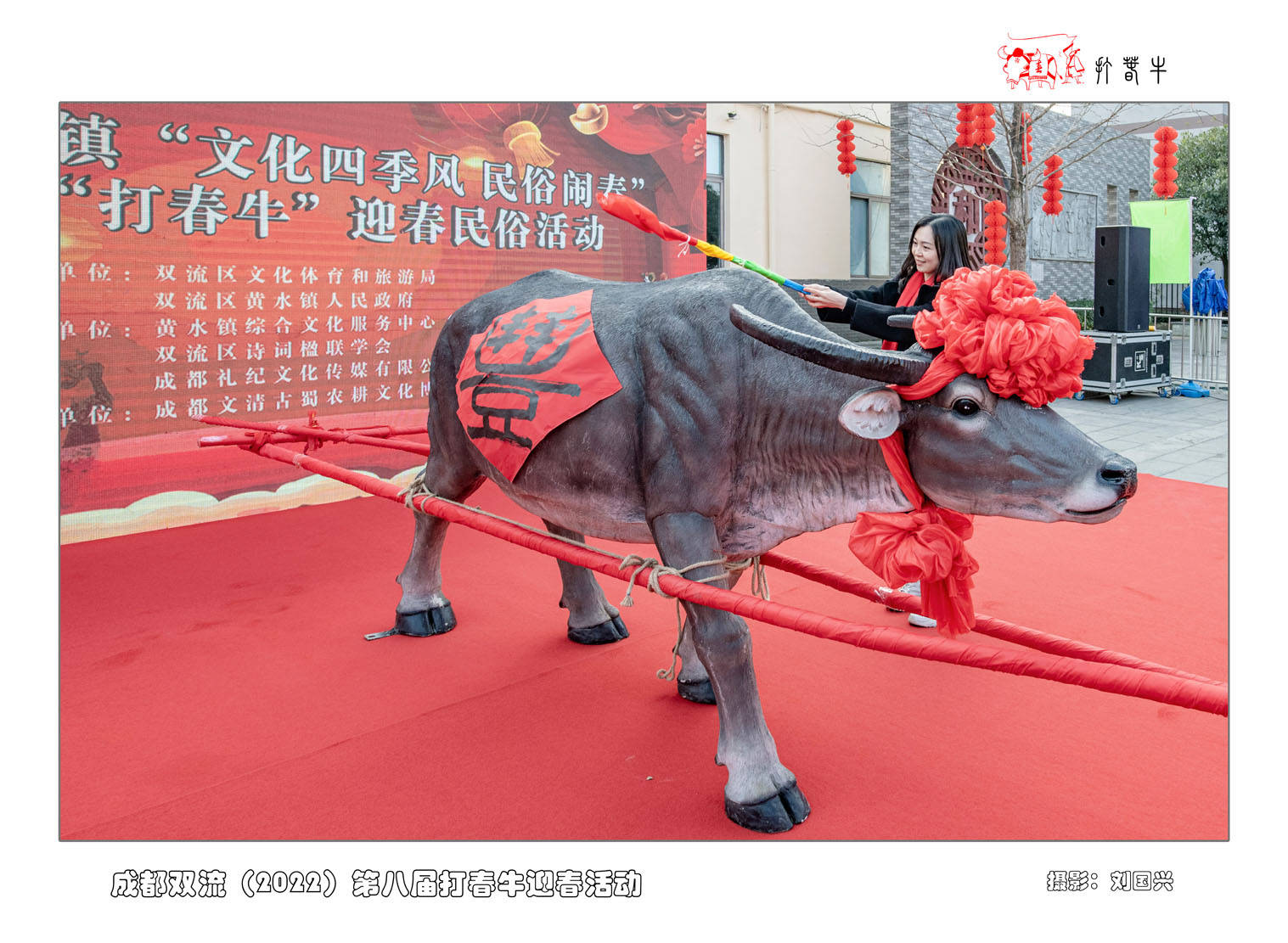 四川成都双流区举办刘国兴打春牛专题摄影展