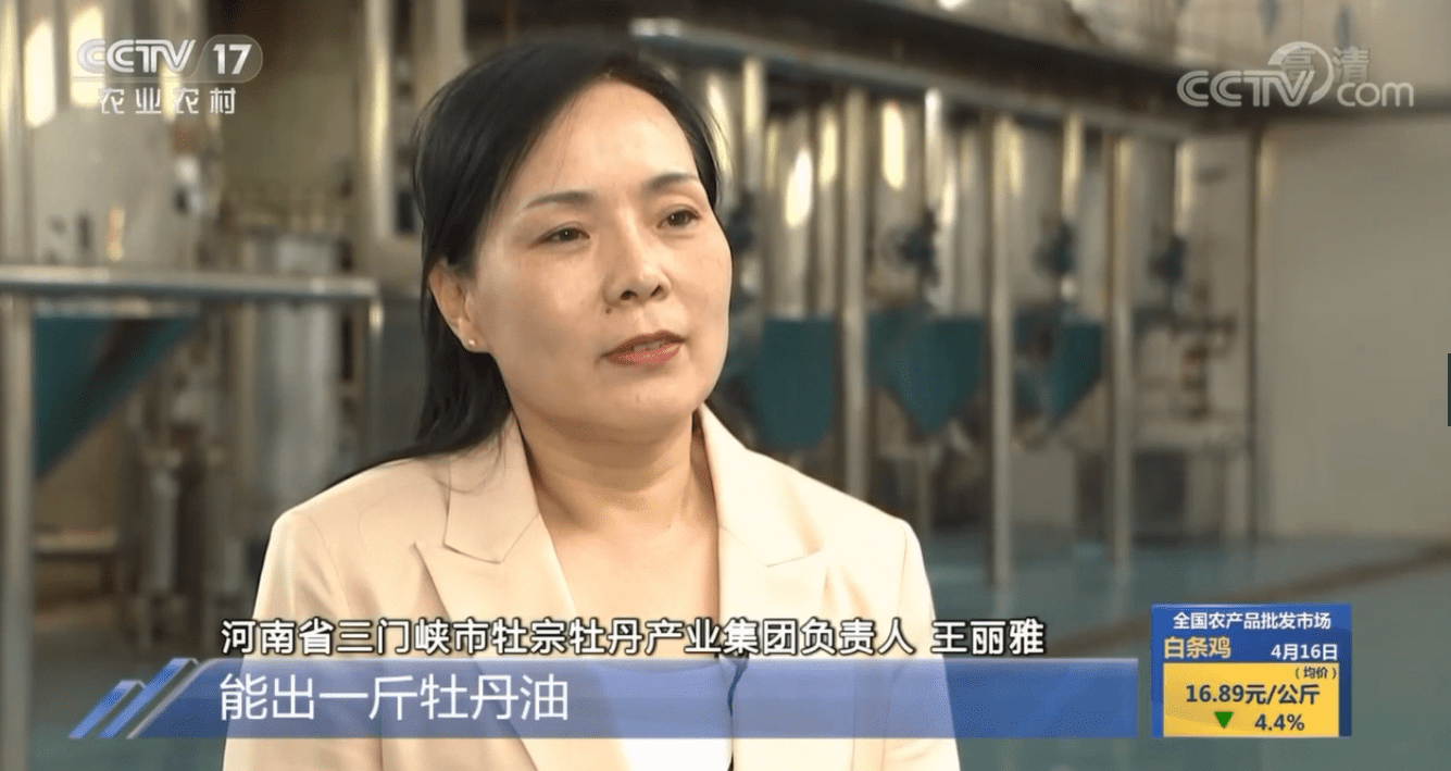 什么牡仙牡丹籽油用在护肤上会有什么效果