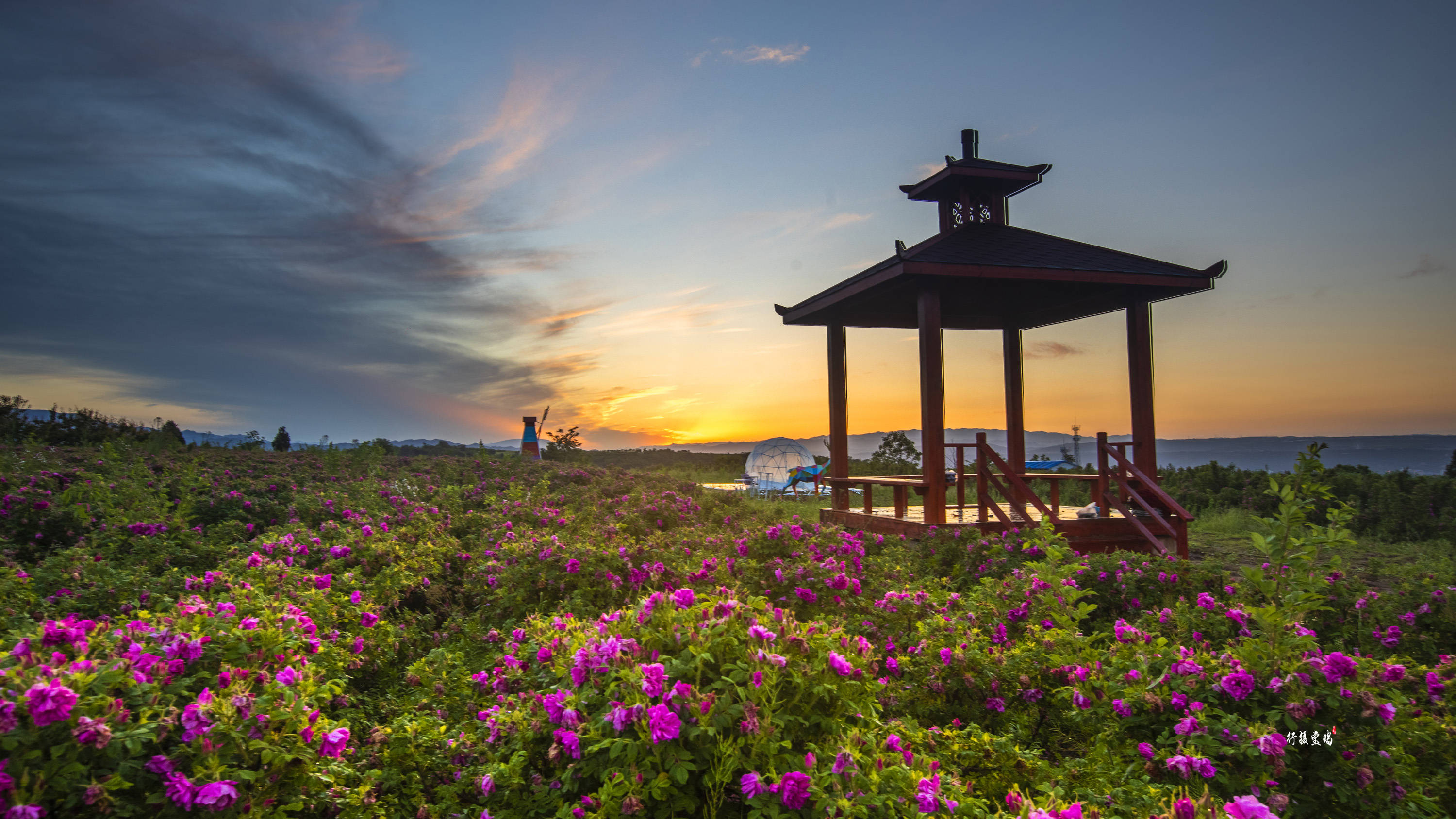 春来宝鸡万紫千红看花海