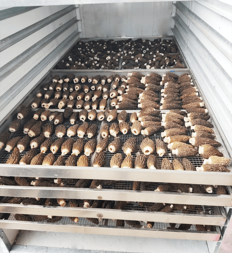 江津小型花椒烘干机烘烤箱可烘干的农产品副食品种类多