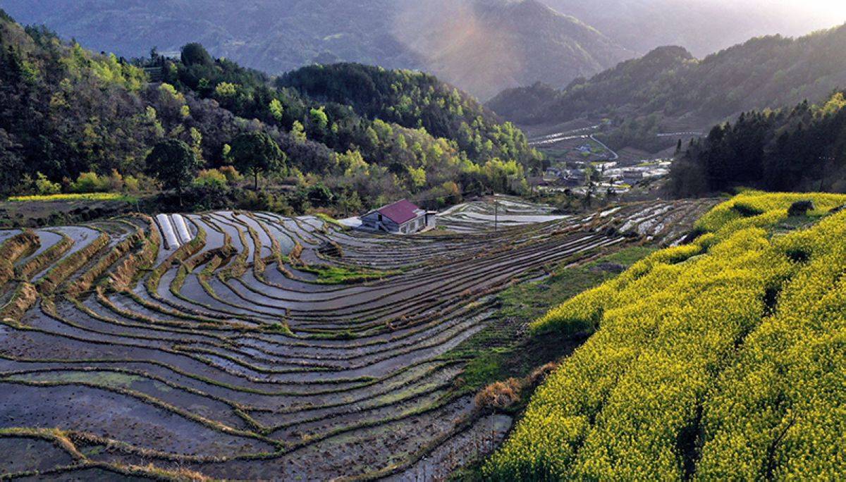 万物皆春人独老陕西省安康市岚皋县南宫山镇桂花村田园风光图
