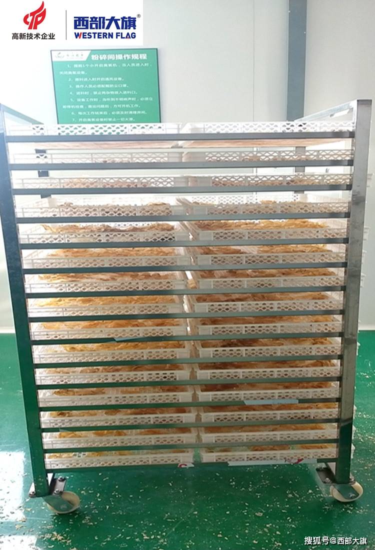 为什么都选择西部大旗牌竹笋烘干机设备