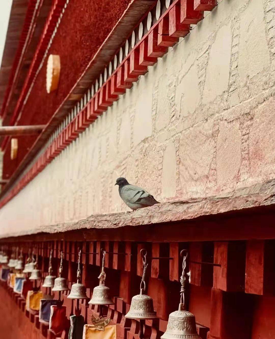 刚坚文化 | 塔铃风动颂吉祥_扎什伦布寺_风铃_塔上