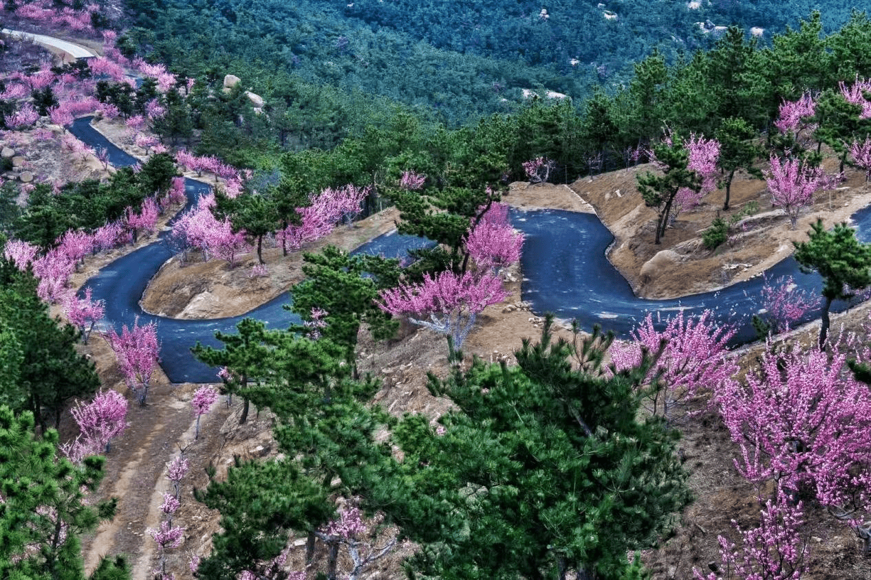 即墨岘山公园多大图片