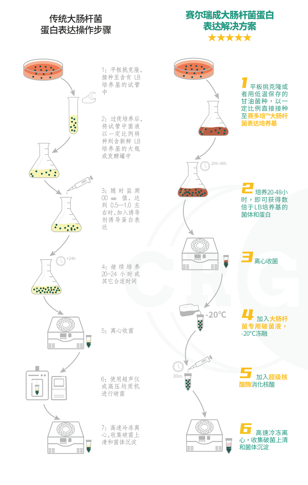 誘導_蛋白原_培養基