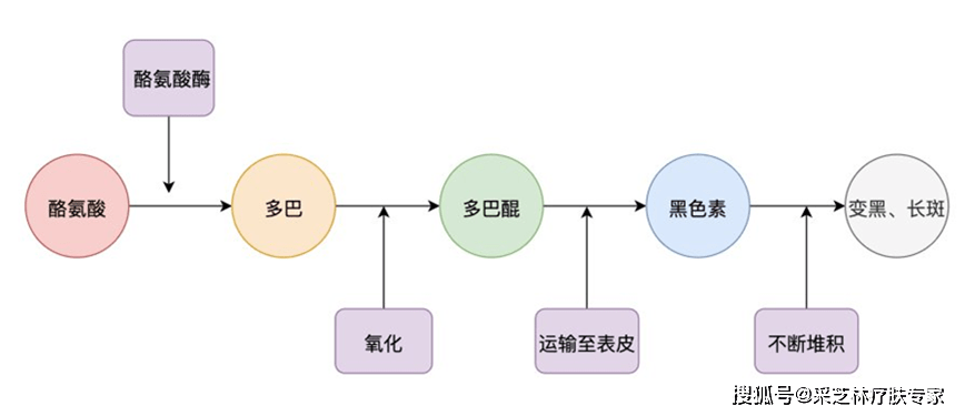 黑色素_雀斑_皮肤