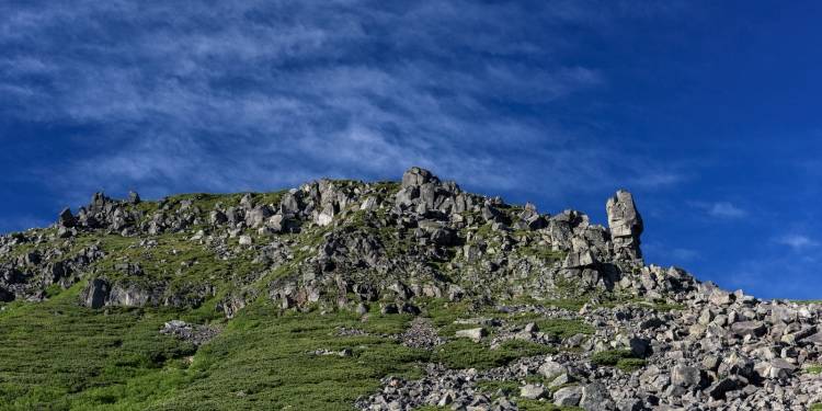 主流年轻用户买家电，一个品牌全家桶还是各个专业品牌集成盒?-家电圈官网