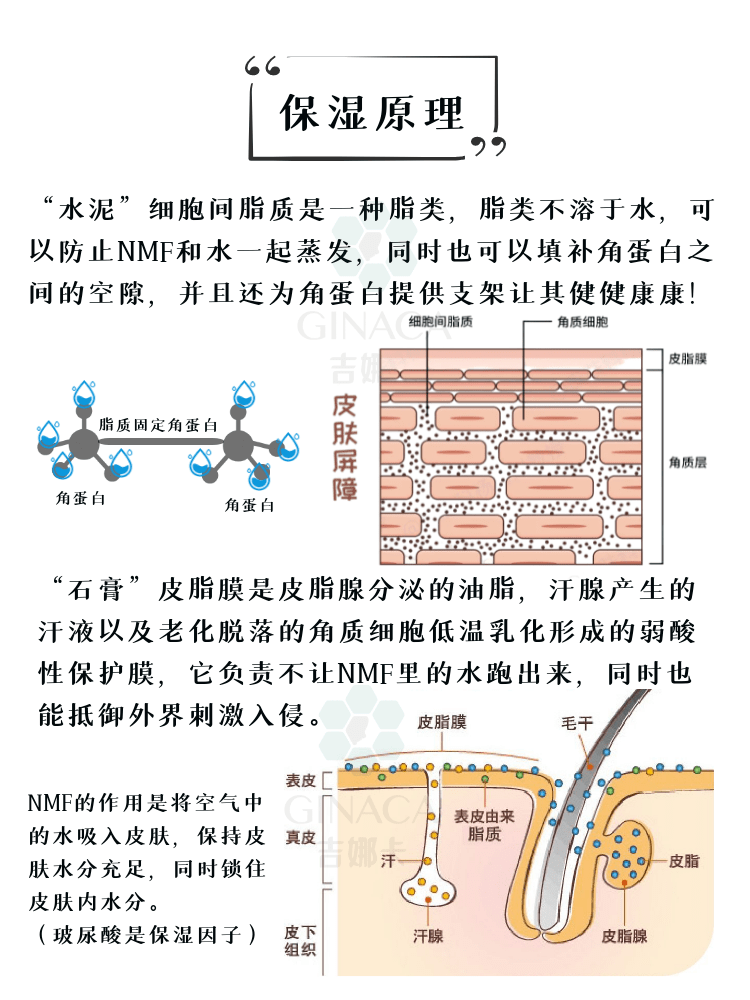 全方位了解皮肤屏障保湿和补水百问百答