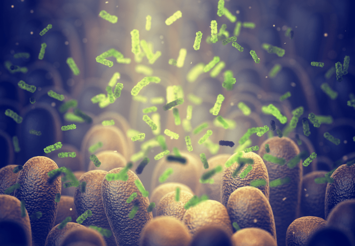 今日水素轻生活肠道微生态失衡的表现有哪些