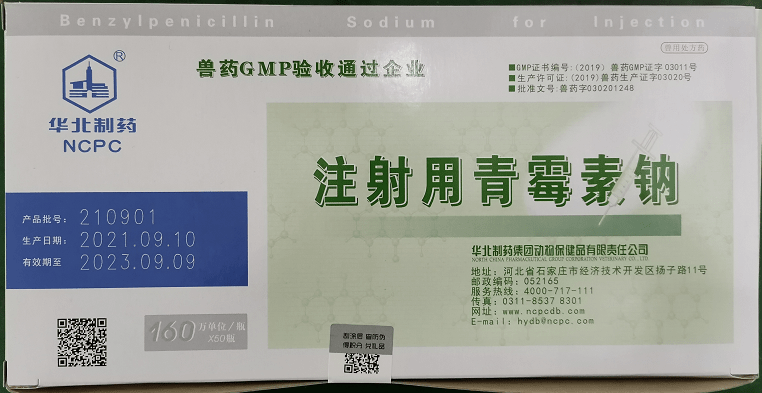 疫苗接种:在高发区域及高发季节时,在肉猪断奶后接种猪丹毒弱毒冻干苗