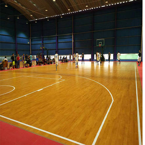 浩林体育|篮球馆运动木地板如何选材?_双龙_龙骨_性能