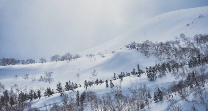 华为消费业务更名不意外，家电企业早就渗透关键内涵-家电圈官网