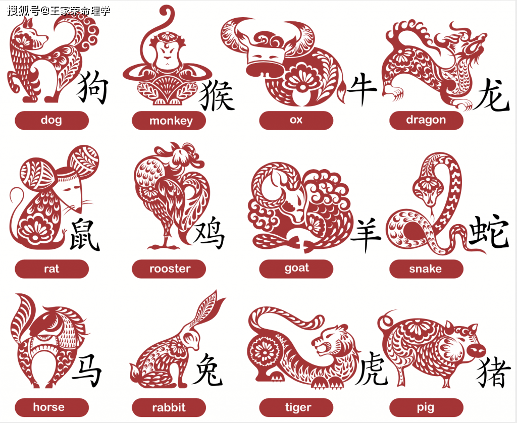 今日运程解析十二生肖运势查询2022424