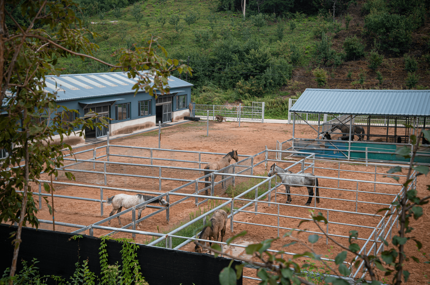辽阳梨花汇文旅推介活动在孔雀岭康养小镇成功举办