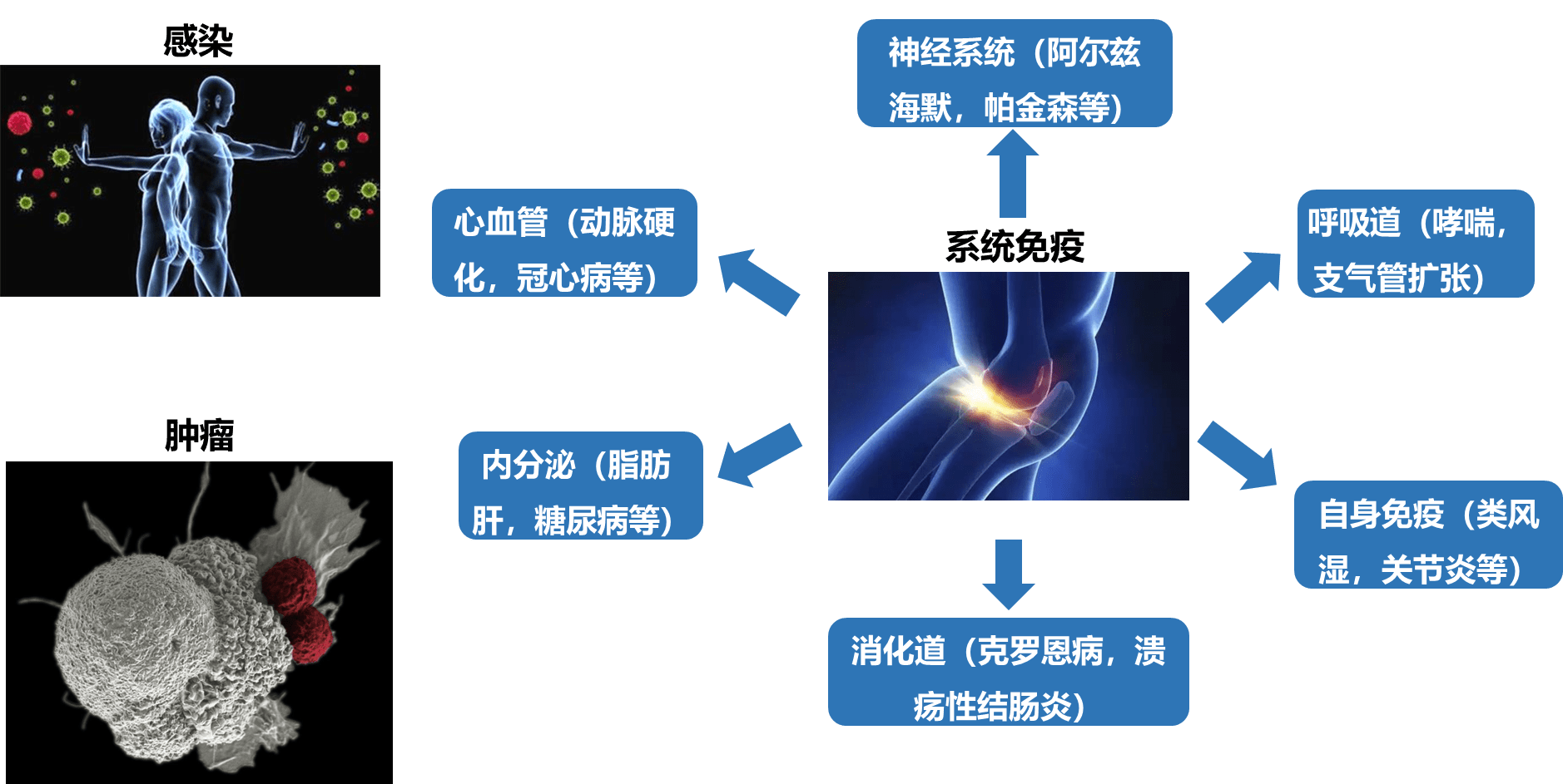 免疫因子組新品發佈高通量高靈敏度絕對定量