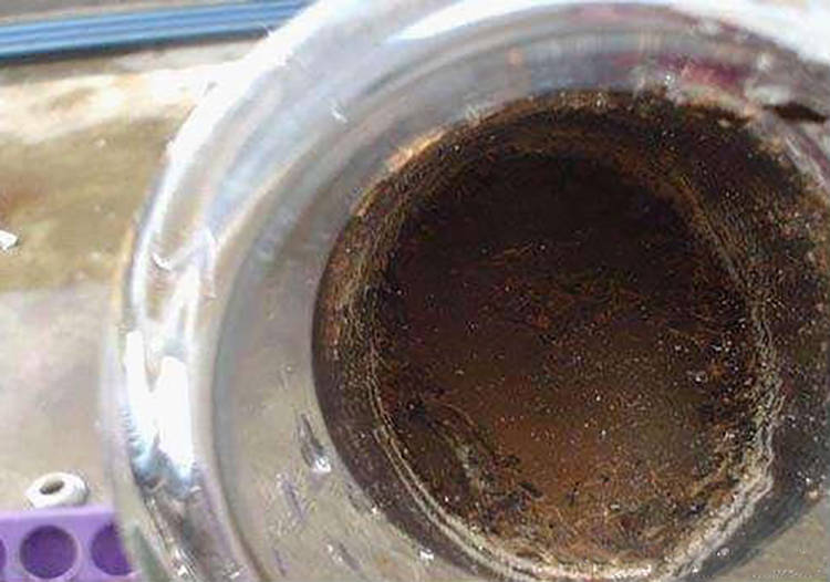 阻生工业水垢防腐缓蚀德国特拉多姆真的神