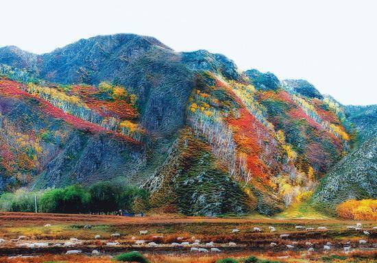 卓资县九龙湾联