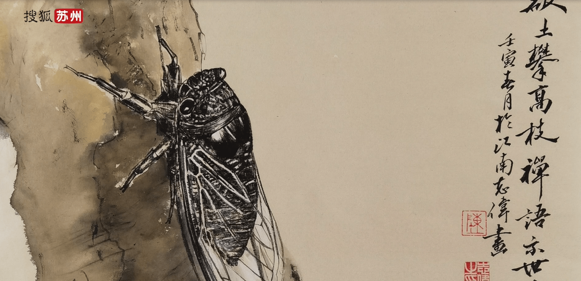 走近"江南画蝉人"陈志伟:与蝉结缘,伏案数年,一朝放声_先生_文化_访谈