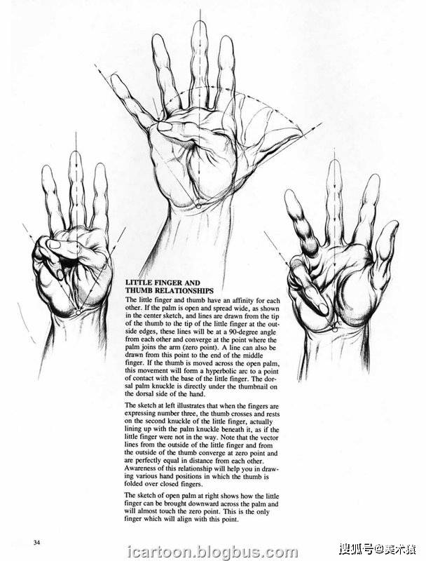 《动态素描·手部结构》_人体_伯恩·霍加斯_插图