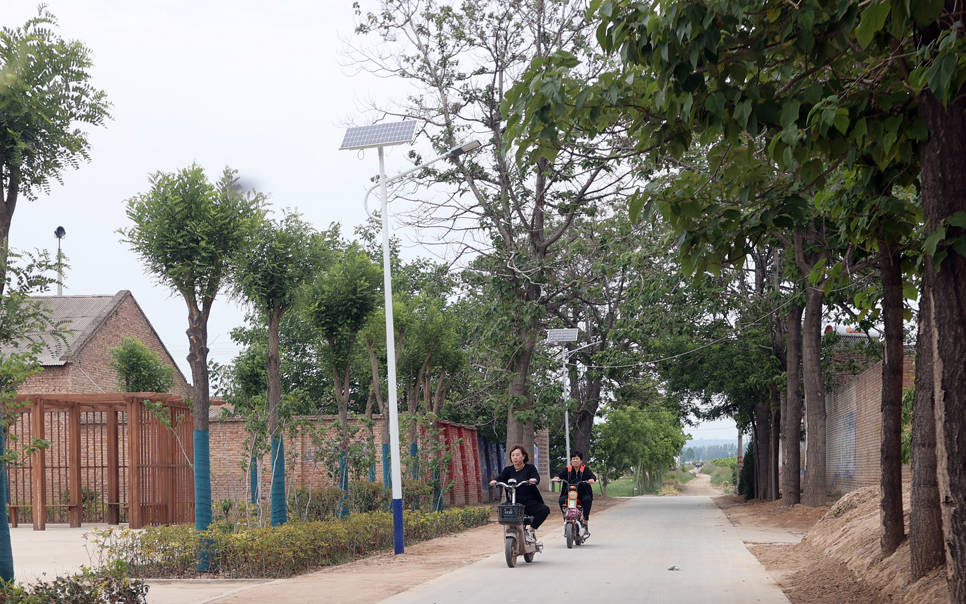 大美大荔许庄:人居环境整治扮靓美丽乡村_生活_农村_吕村