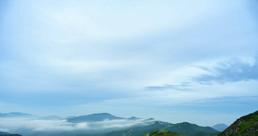 家电厂商的见缝插针与争分夺秒！-家电圈官网